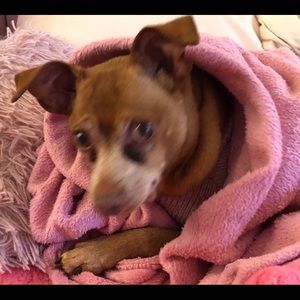 Meet your Posher, Udo